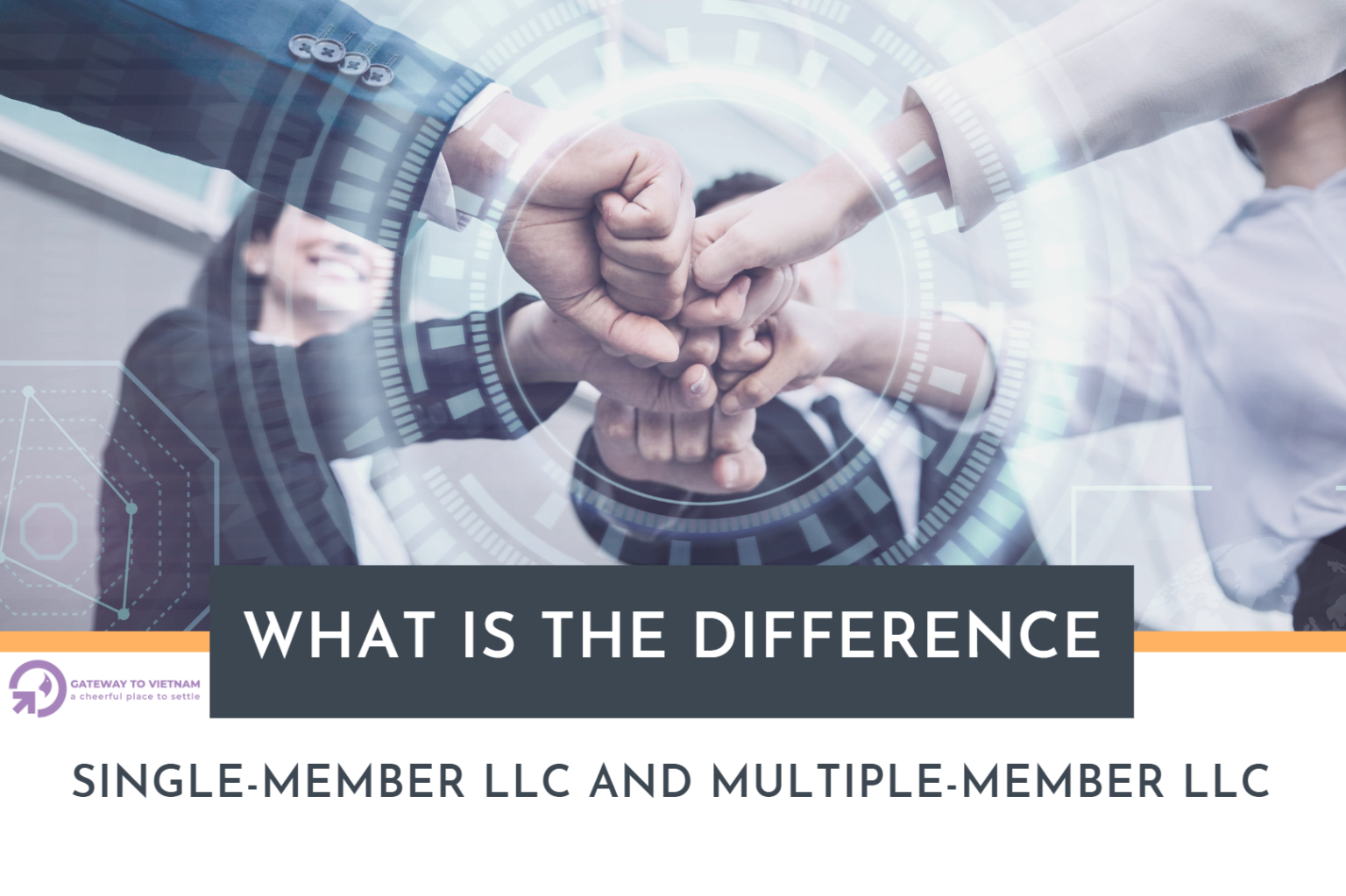 Single-member LLC and multiple-member LLC, what is the difference ...